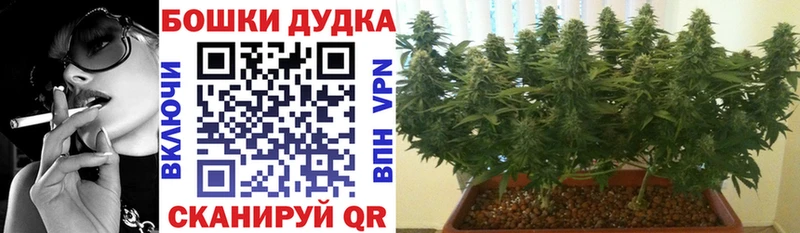  КОКАИН Вытегра