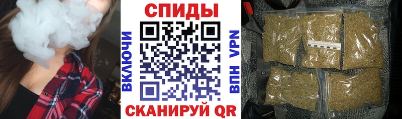 Купить где  Вытегра  Бутират BDO 33% 