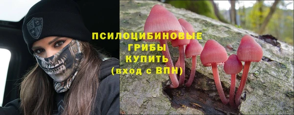 дмт Иннополис