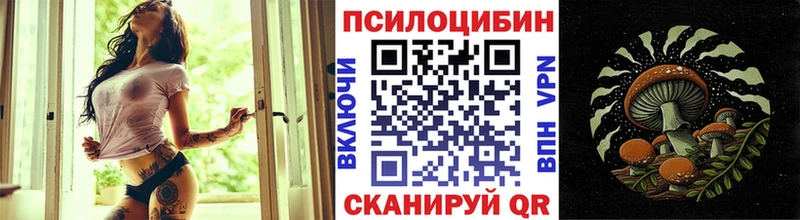 Псилоцибиновые грибы мухоморы  Купить  Вытегра 